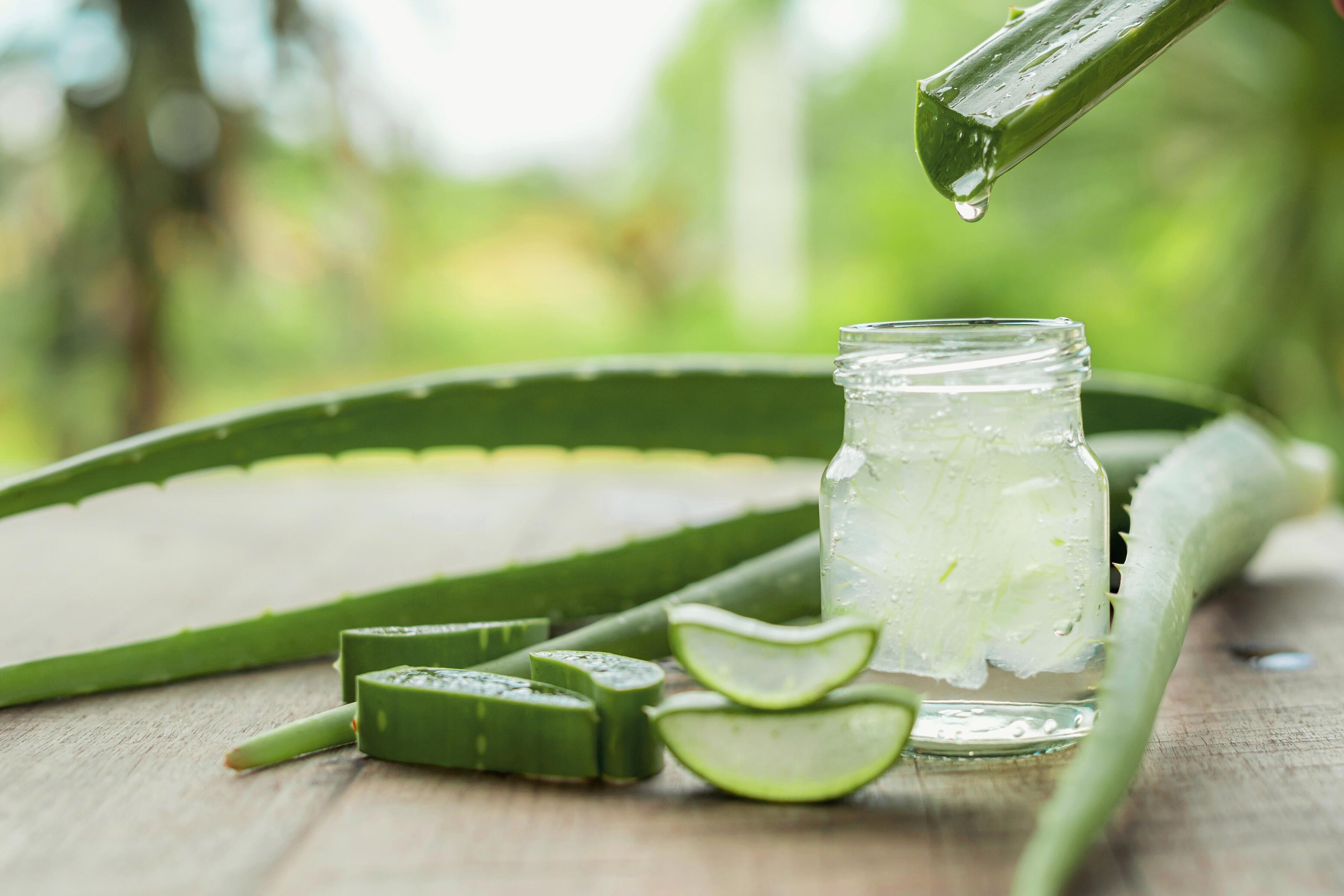 Aloe vera for seborrheic dermatitis